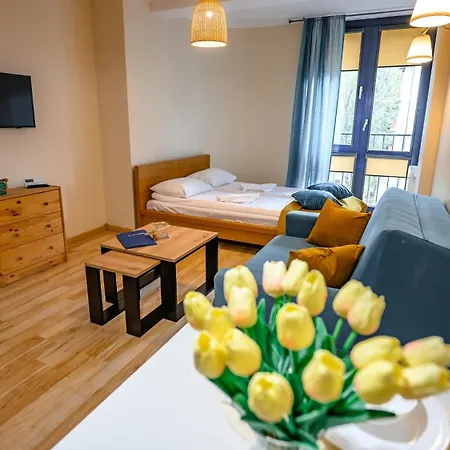 Apartment Centrum Zdroj, Sun & Snow Krynica Zdroj